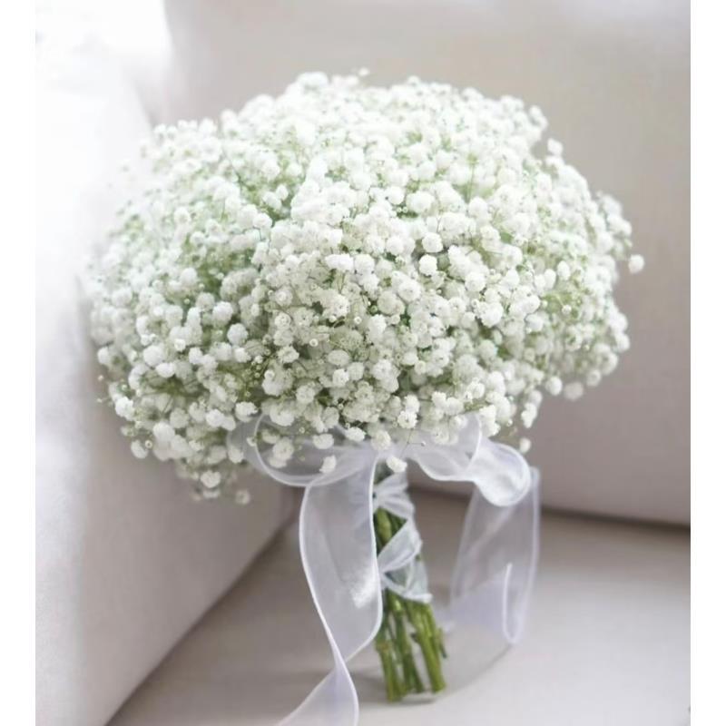 x【满天星白色】雪姐专属  一单中通 两单顺丰/德邦+保鲜剂5包+配草