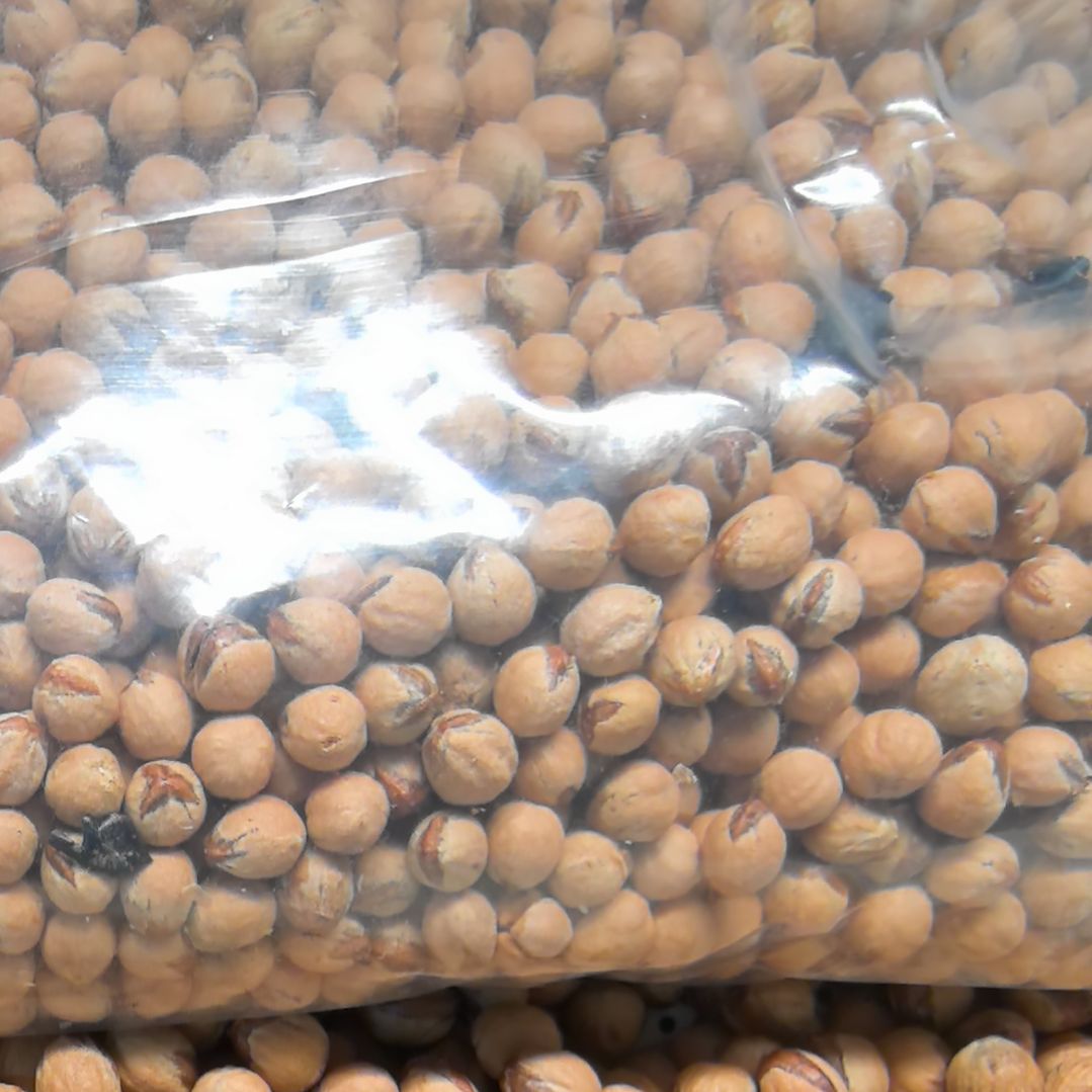 抓***件柏香籽/百香籽手串