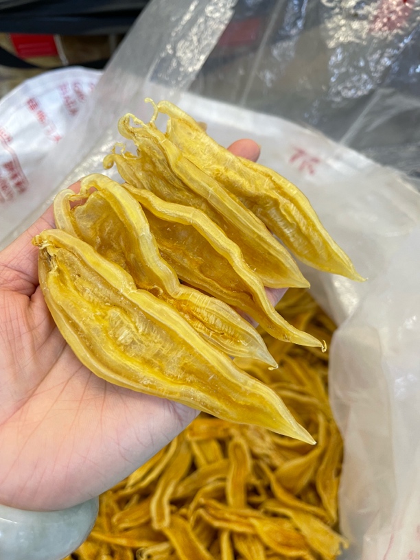 泽娜家 巨美双背公胶 老辣公胶