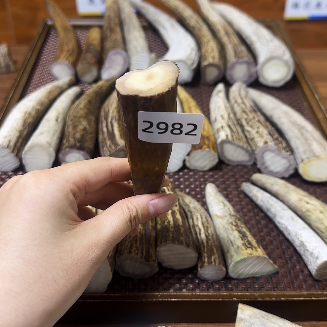 鹿骨手串/手链角尖2982