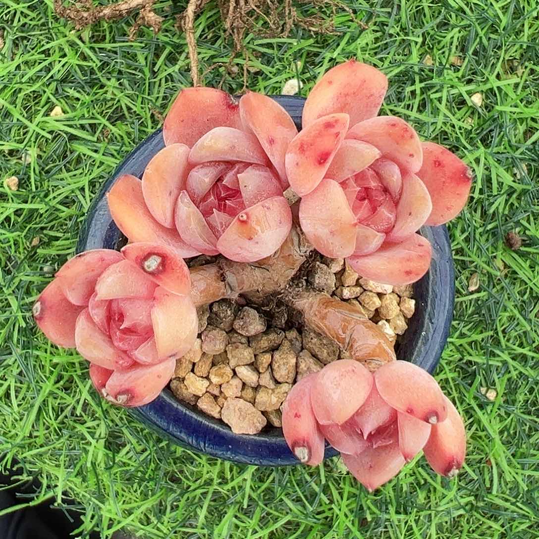 fjhhghgjhjbhvbvhbbbhhh