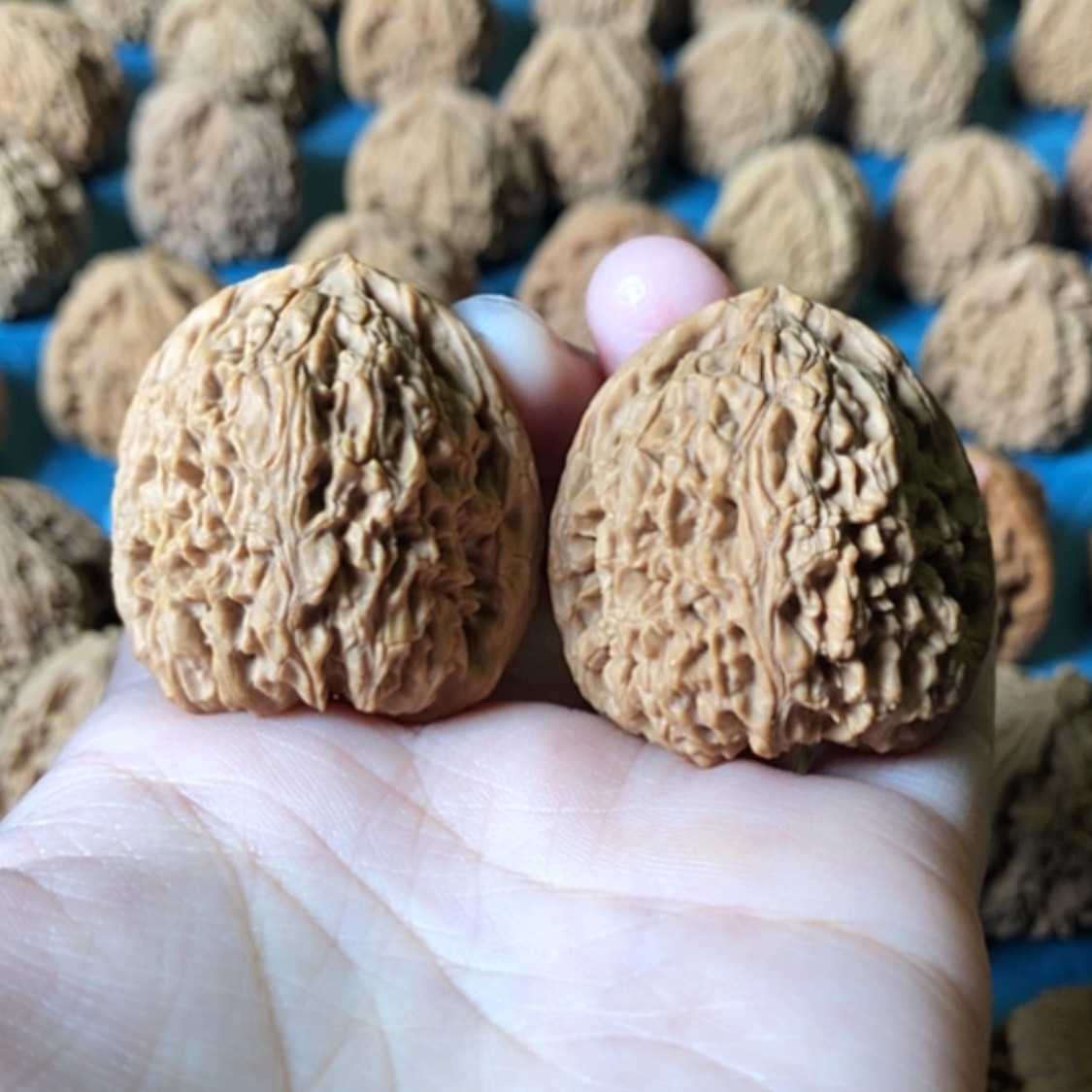【闪购商品】文玩核桃把件抖****量一代将