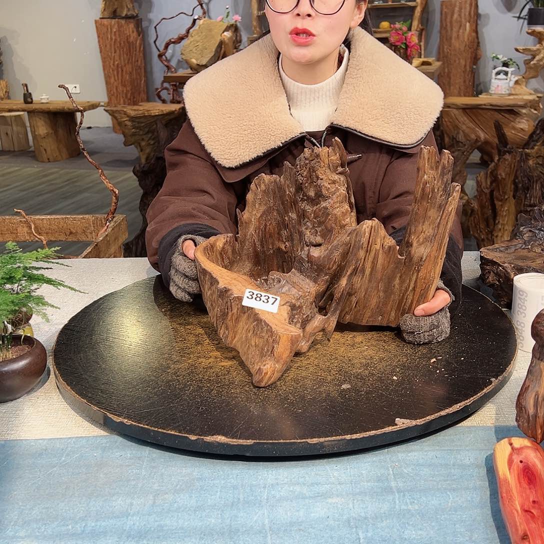 木默**歌3837 hbhbughghghhjj