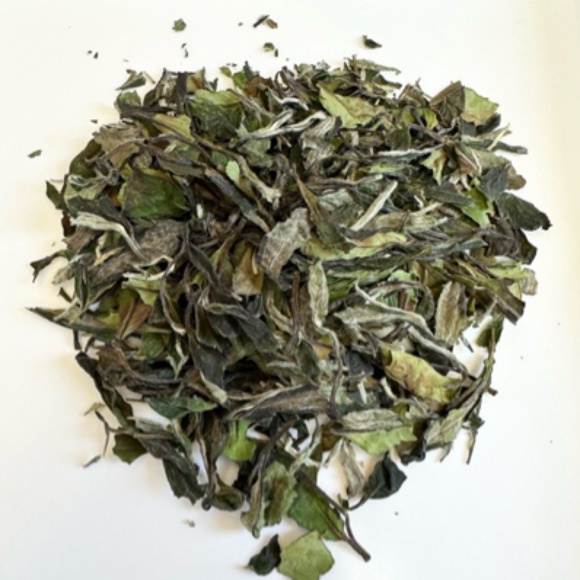 【初见】福鼎2022年白牡丹 炭焙老树荒野福鼎磻溪白茶野果香