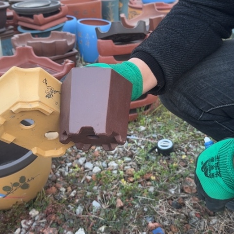 红陶紫砂花盆盆景盆栽