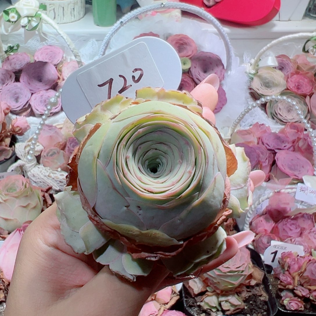 720水蜜桃杂手捧花。     