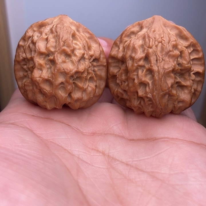 核桃全品玲珑狮子头