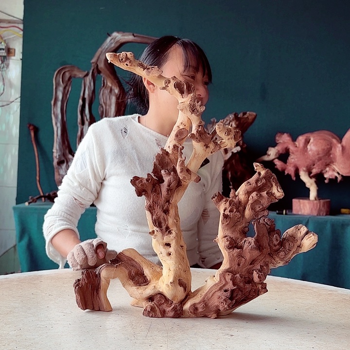 黑果木寿748金丝红木羊蹄甲半成品