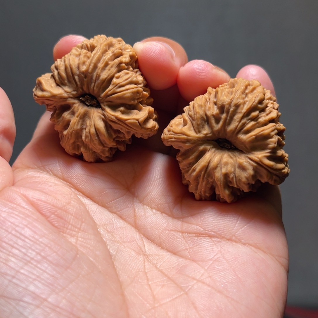 文玩核桃把件睡****学南疆