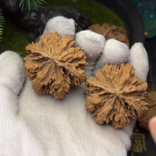 老***你文玩核桃吊坠秦岭核桃6