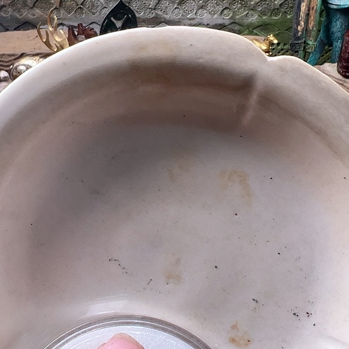 茶盏用****11112222333