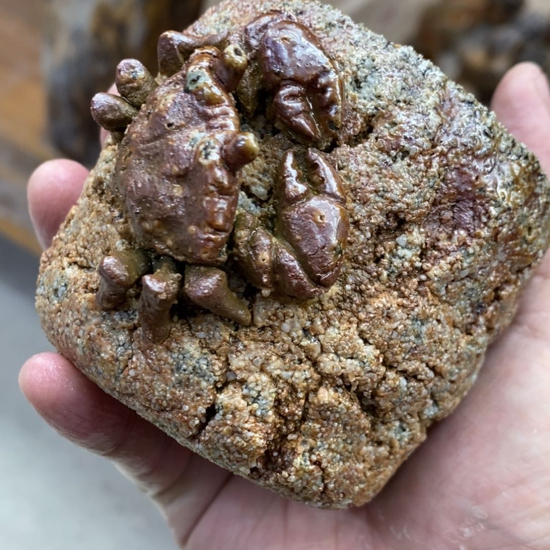 陶园柴烧，精品高货。G20