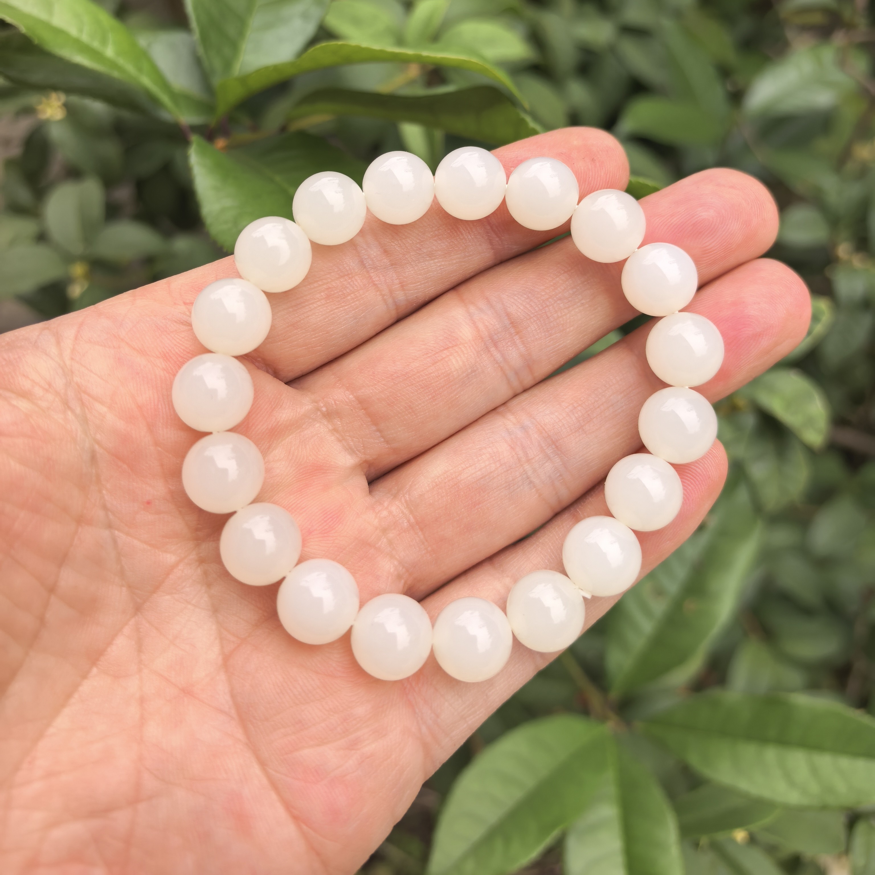 圆珠！精品时尚青白卡10圆珠！