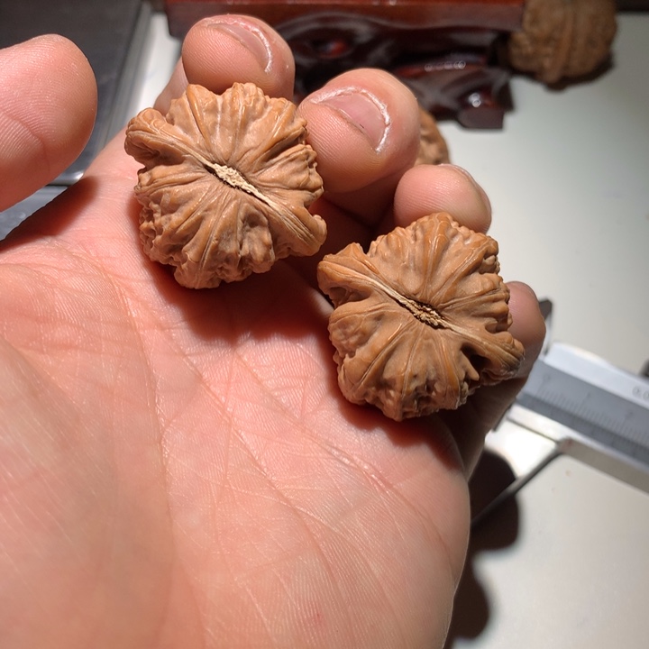 把件文玩核桃凌*志白狮子