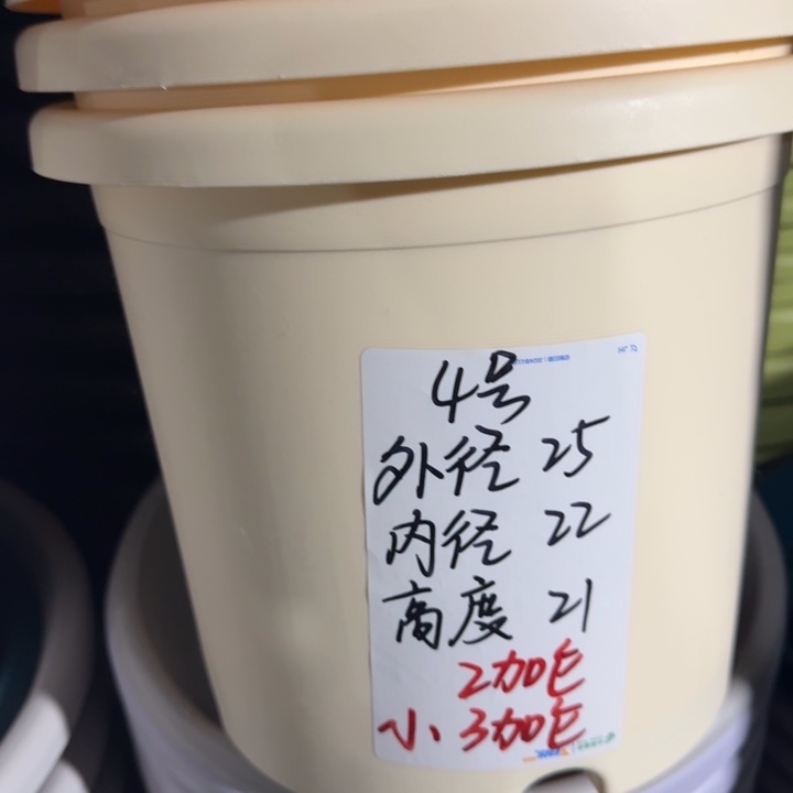 微瑕4号无托米黄8个