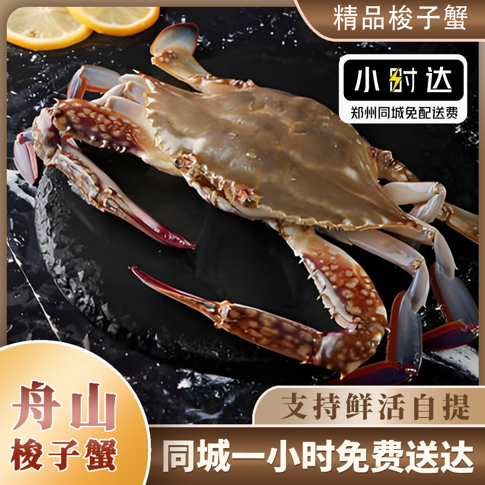 【金葉甄选】鲜活舟山野生（公）梭子蟹3-4两/只 99三斤【保鲜不保活】