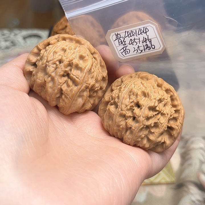 文玩核桃把件白狮子