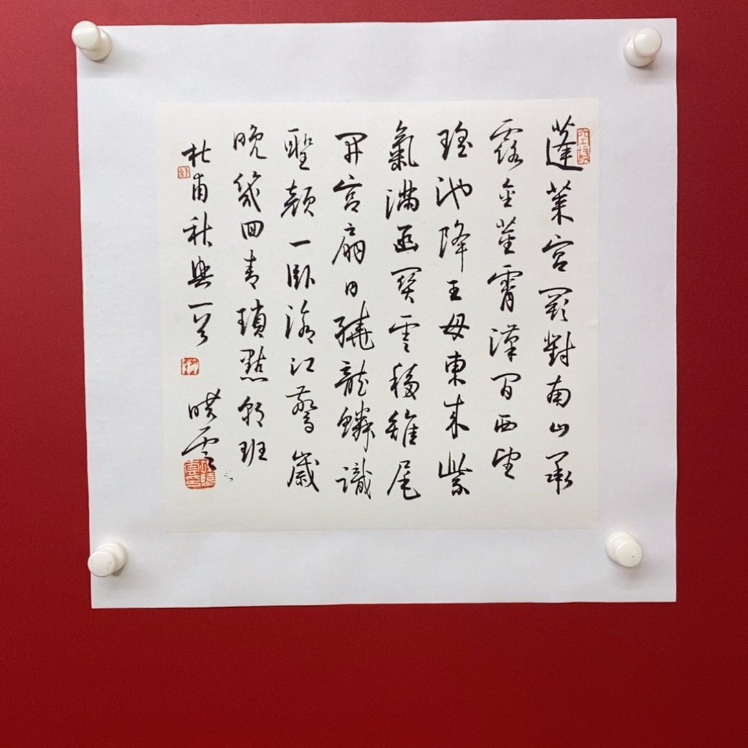 尚古202565646588653