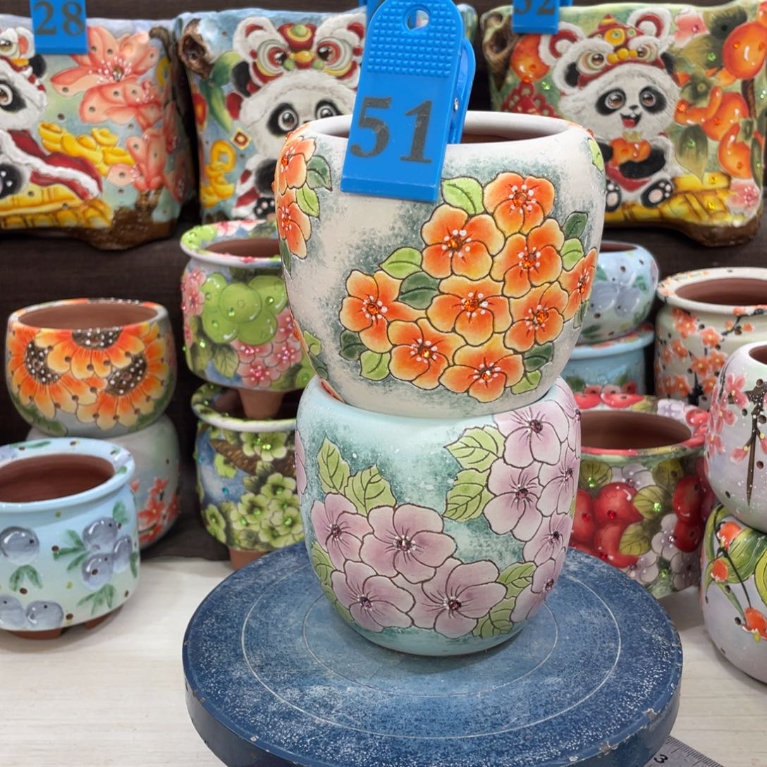 红陶特价花盆多肉