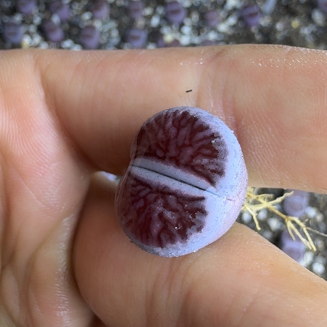 818 哈哈哈哈哈哈哈哈哈哈