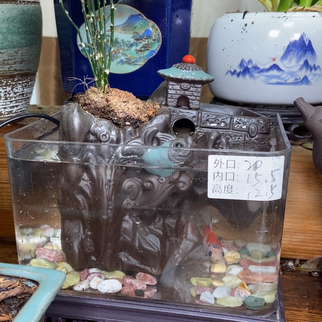 瓷片陶瓷花盆陶瓷艺术