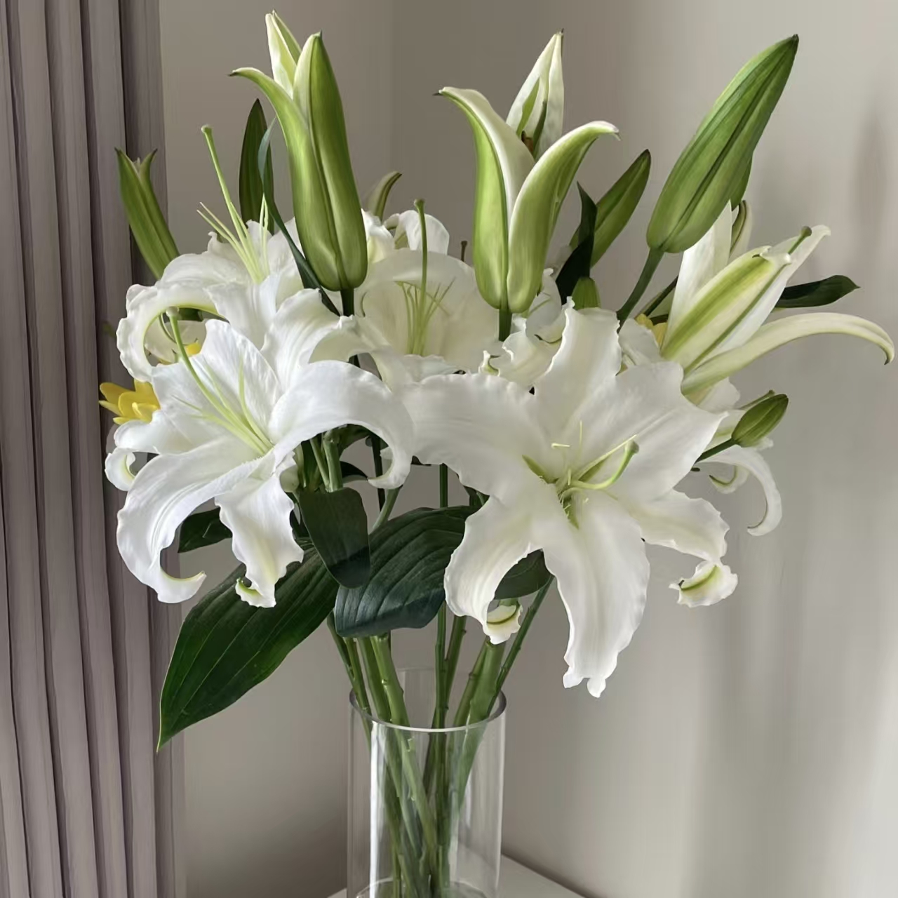 西伯利亚香水百合鲜花云南基地直发水养鲜切花
