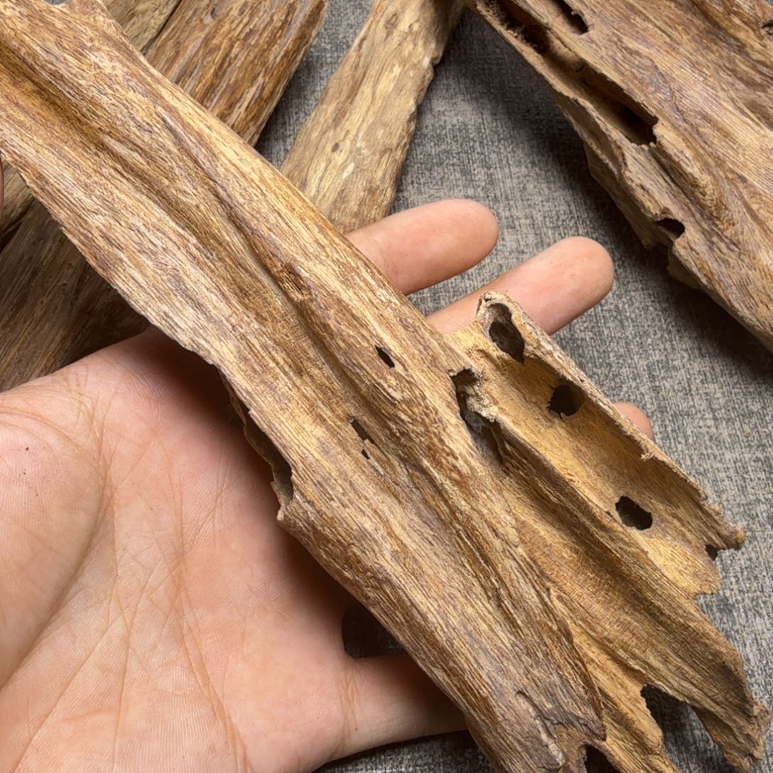 香榧木海南临高红土40克