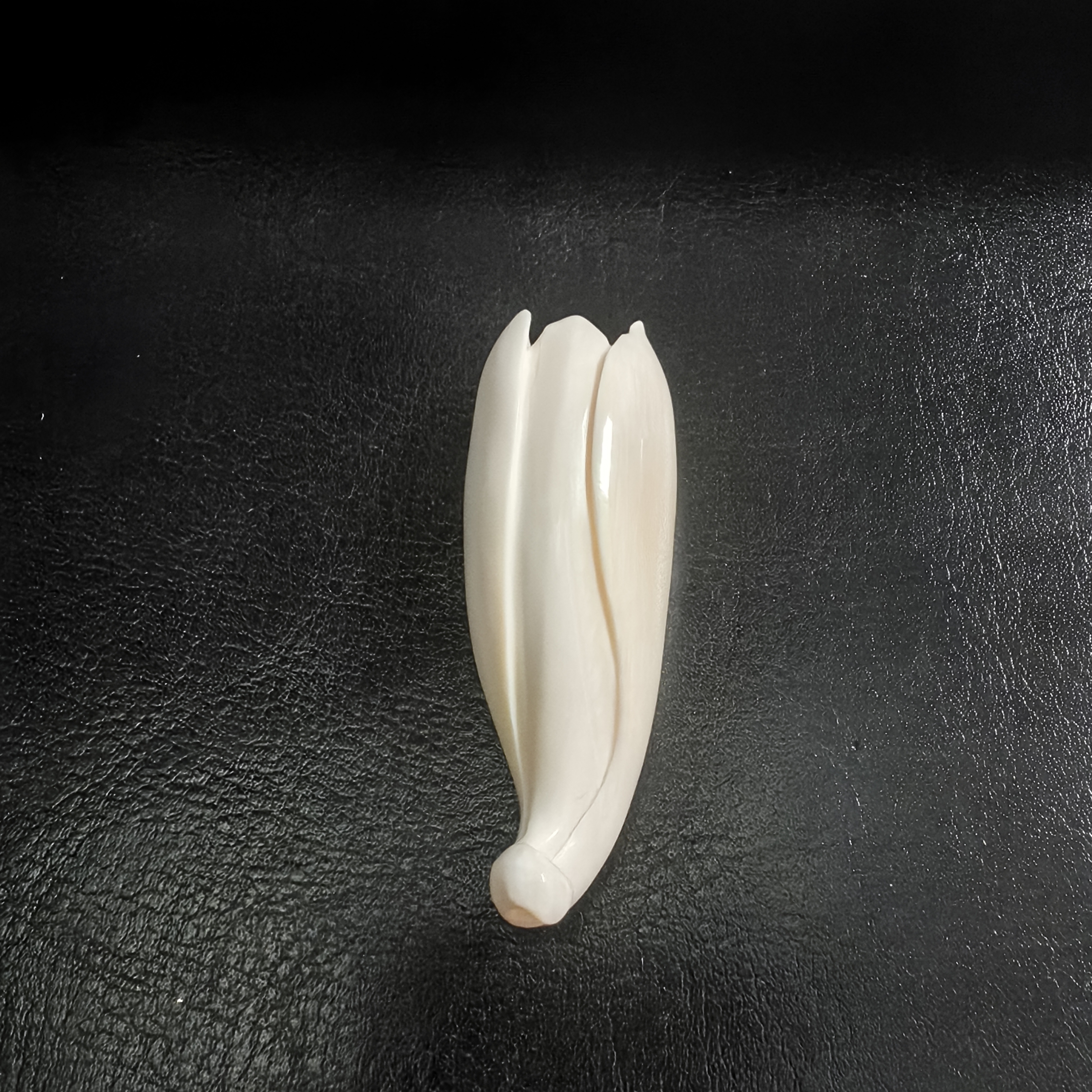 猛犸约16.2克雕刻件ZL4367