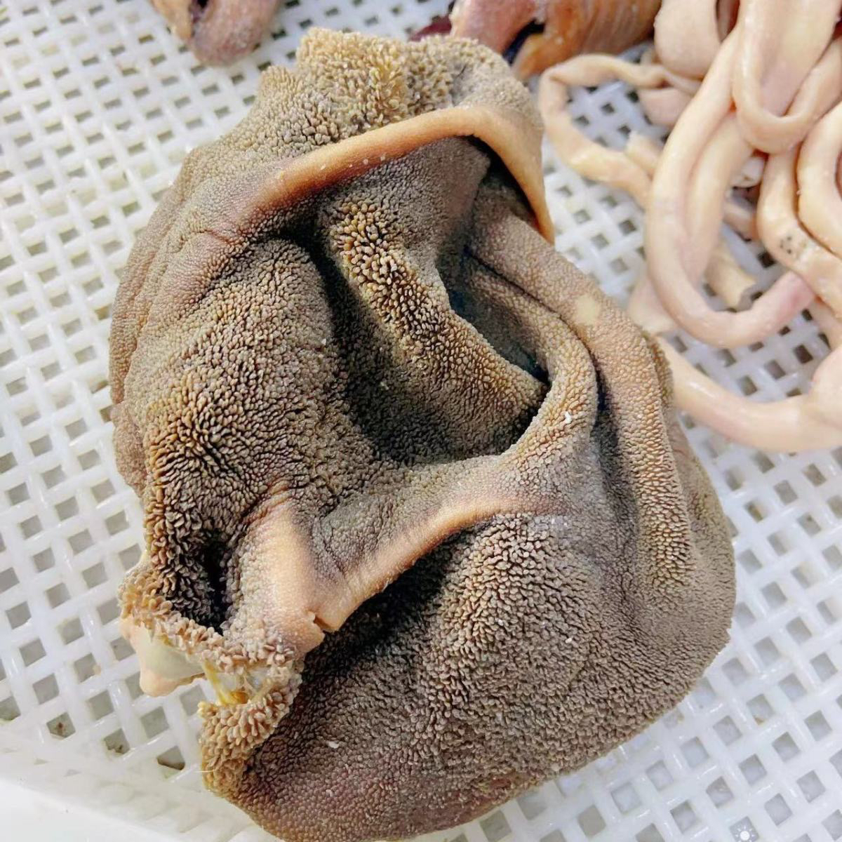 清真 熟羊毛肚 原色原味无添加 咸的 真空速冻发货