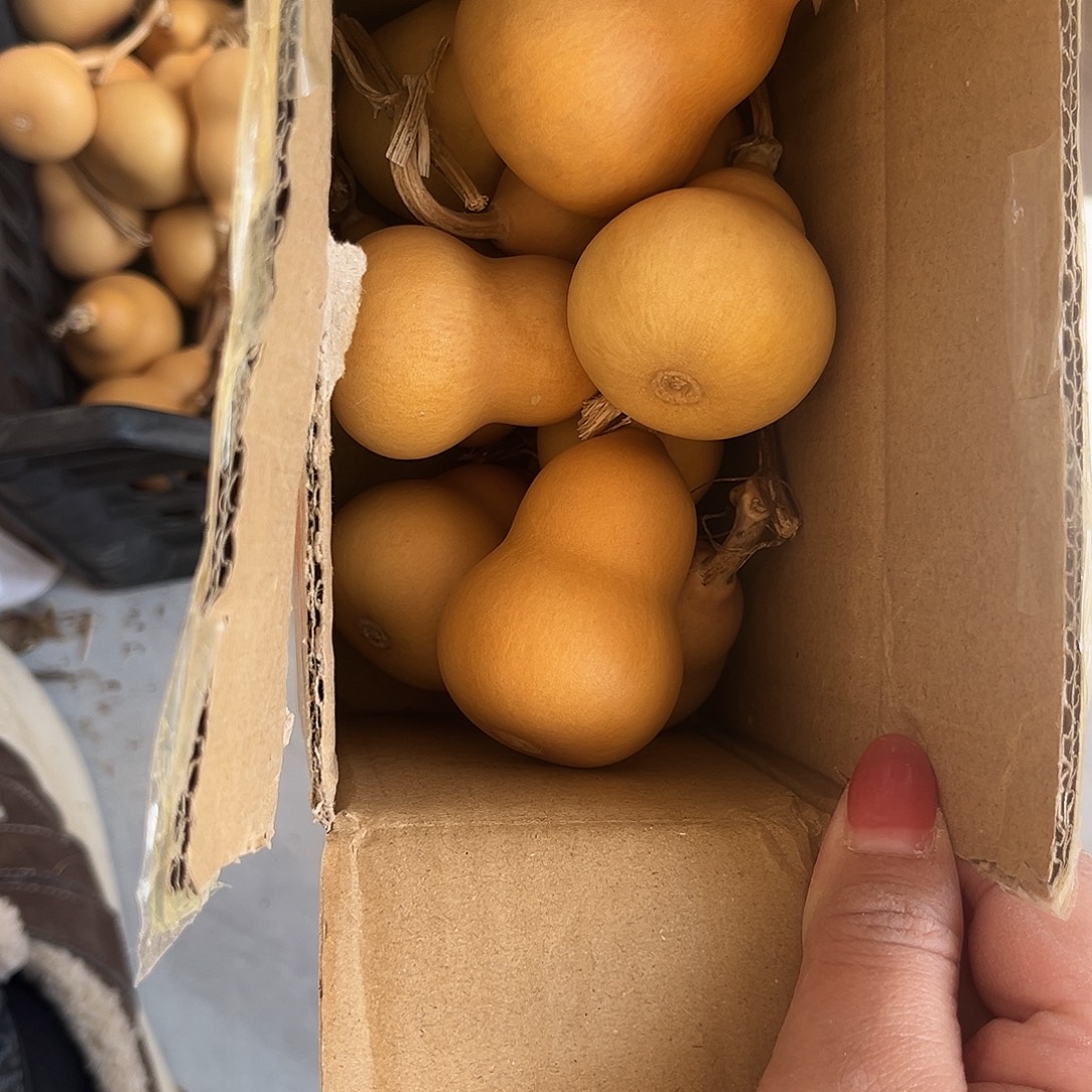 超***猫美果胖墩通货微瑕，不退不换