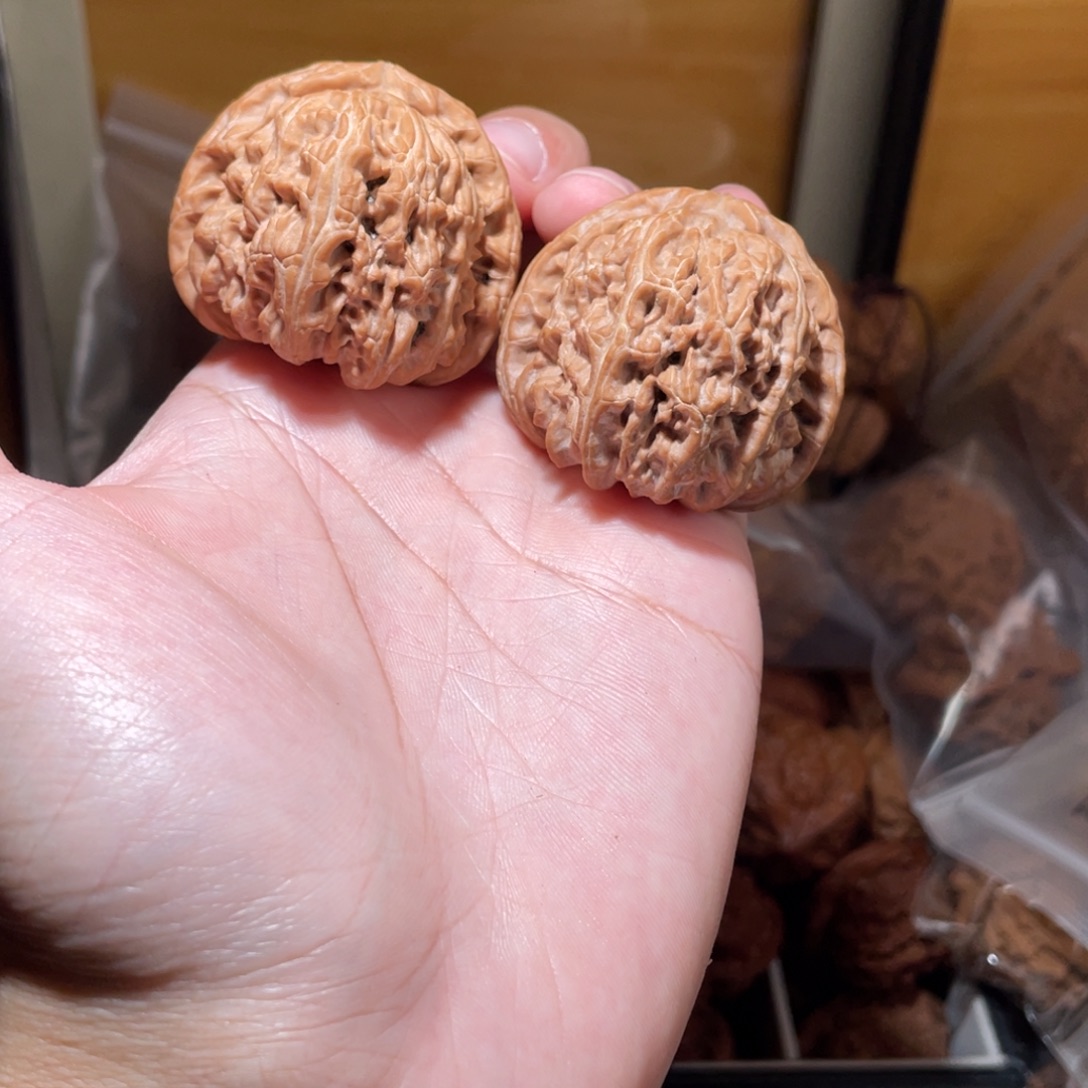 43尺寸全品无修老白狮子