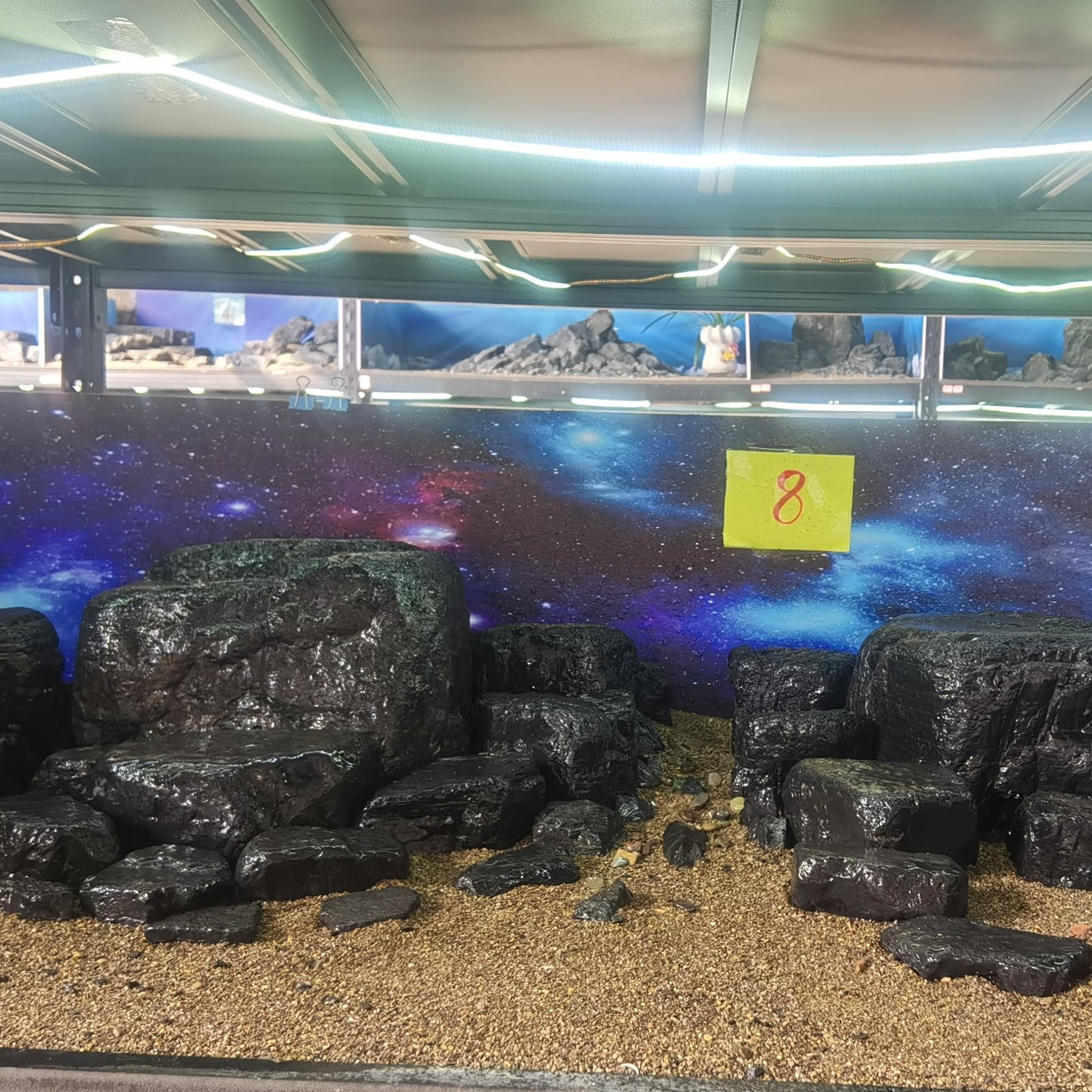 黑金峡谷溪流石（一物一拍）