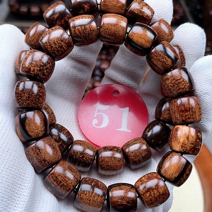 贡木其他多样性发其一1213