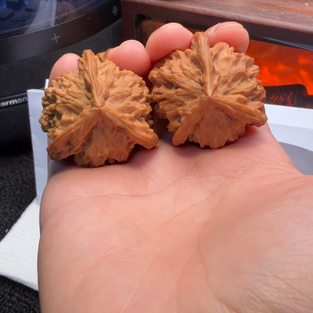 核桃37+盘山三棱++