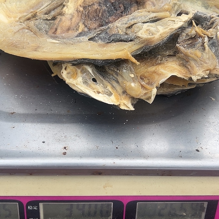 @***࿐中国大陆代购蛤蟆鱼4只37
