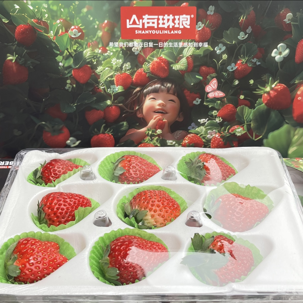 空运丹东九九草莓新鲜采摘味道浓郁香甜多汁包邮