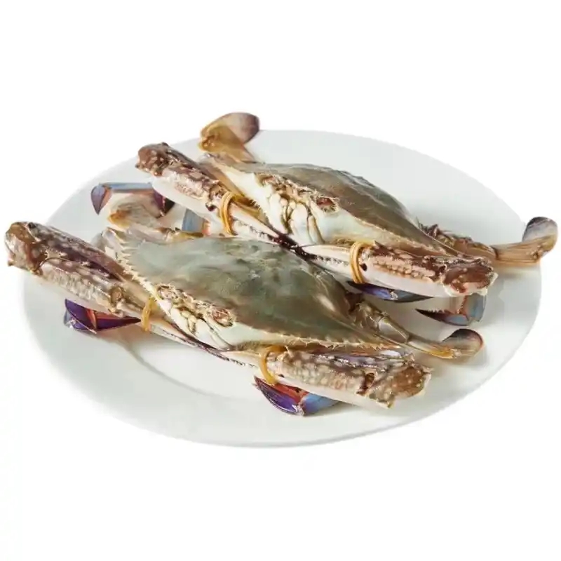 连云港公飞蟹2-3斤 单只2两左右 【保鲜不保活】