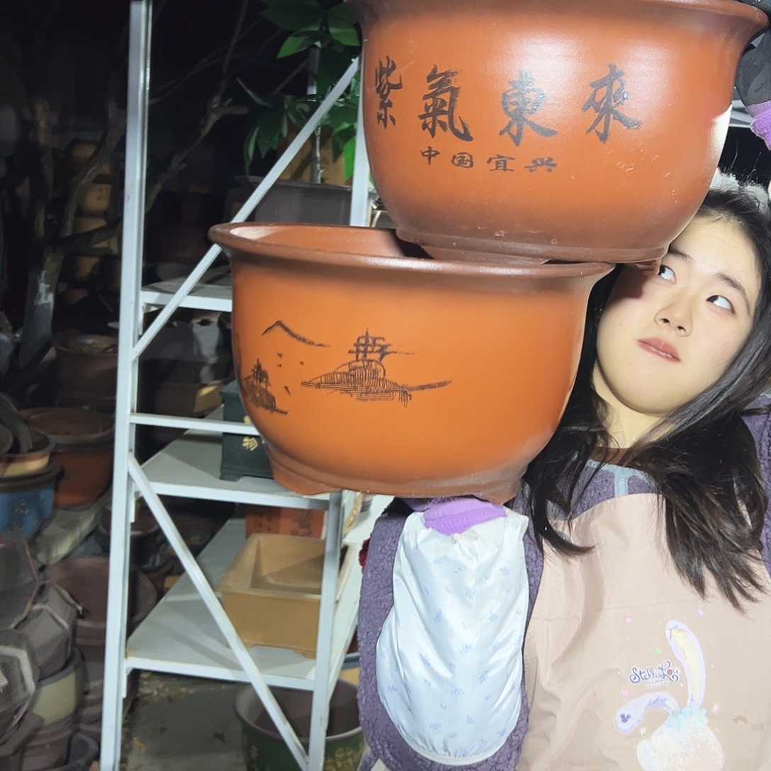 35+35紫气东来花盆花盆花盆