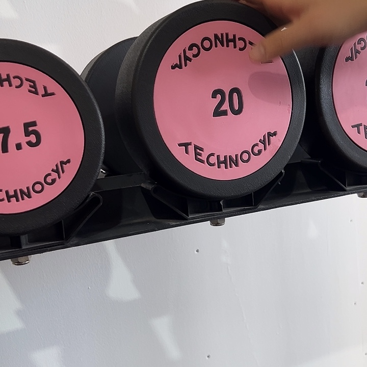 全新纯钢泰诺20公斤哑铃一对粉色