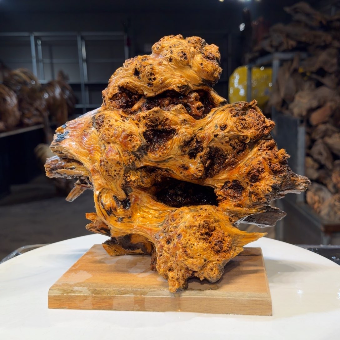 海***心木王一刀琥珀木摆件B03