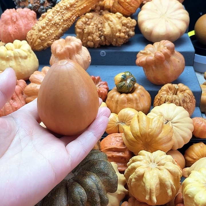 家***炸墨西哥七彩哥的葫芦