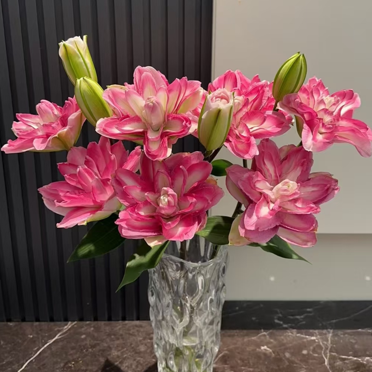（花好月圆）莲花美景小花苞精致款重瓣百合