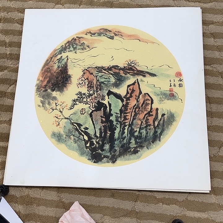 国画花鸟等多种鸟类和鸟类