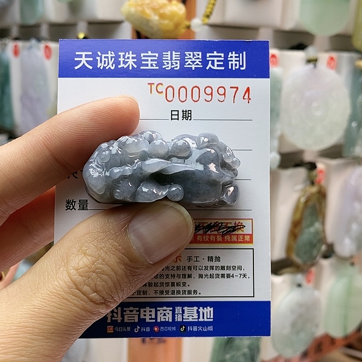 翡翠颈饰未镶嵌每天