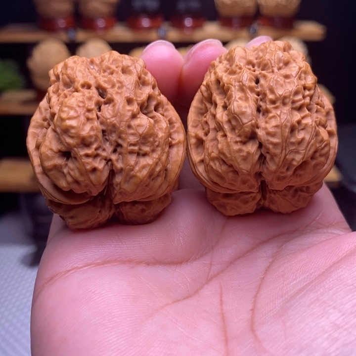 木质类云铁金蟾蛹16号40尺