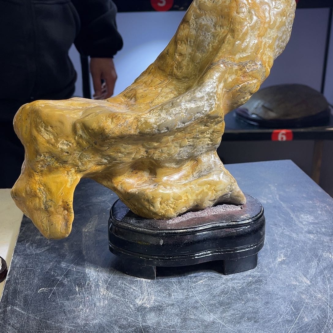 紫砂我也想说我不爱你们夏*哥