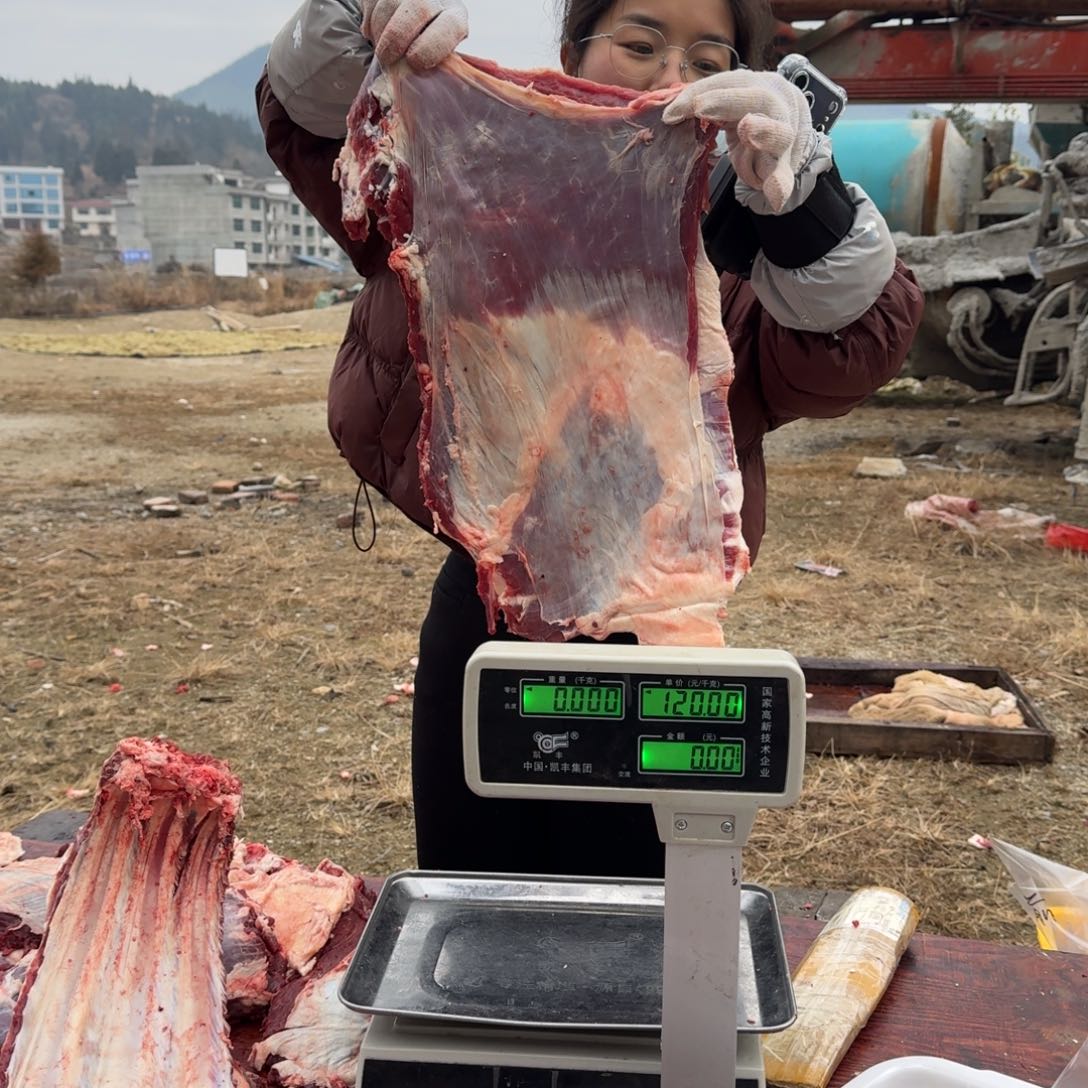 土黄牛中国大陆包装牛腩