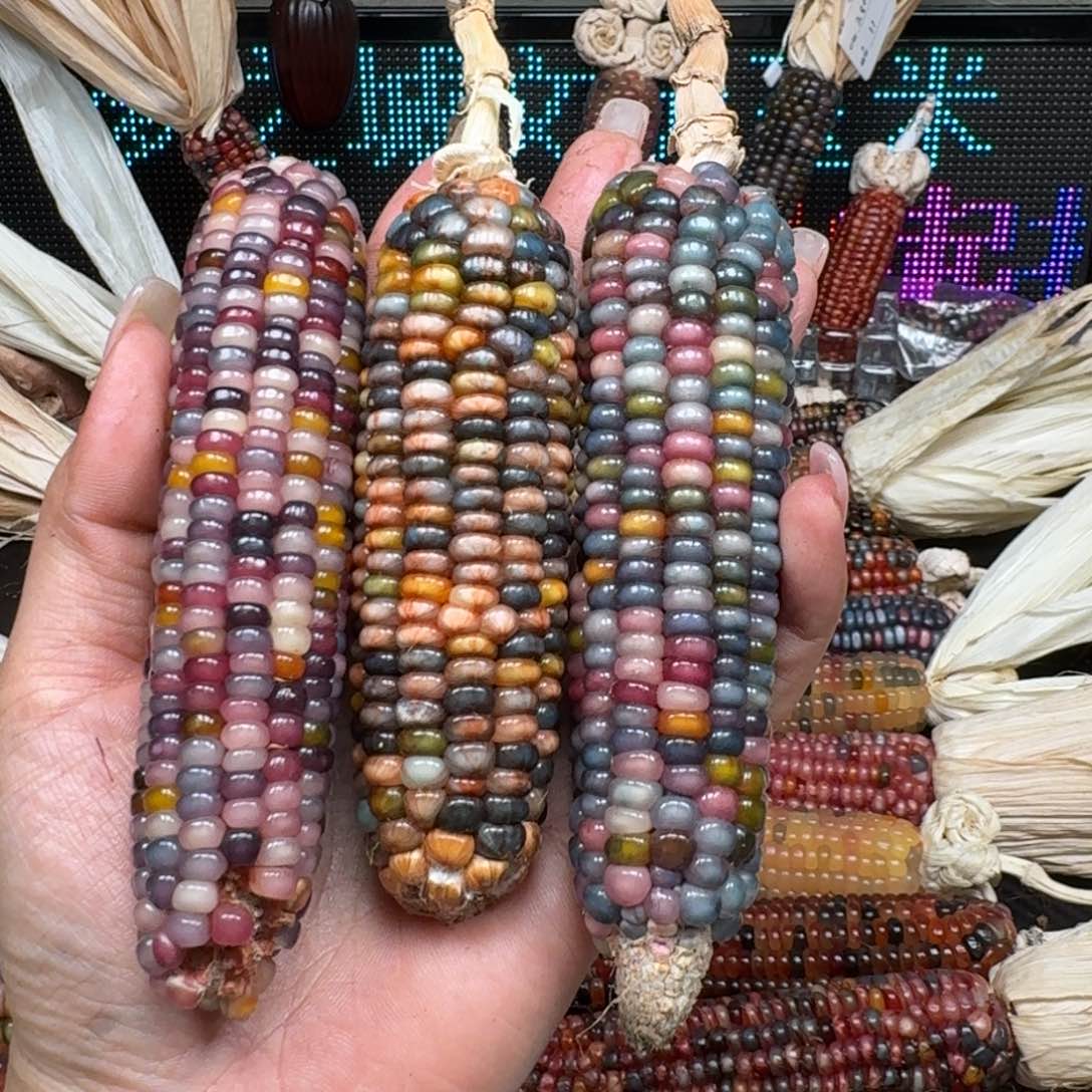 柏香籽/百香籽吊坠?****ɞ