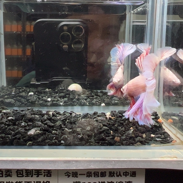 斗鱼跑单拉黑17日15