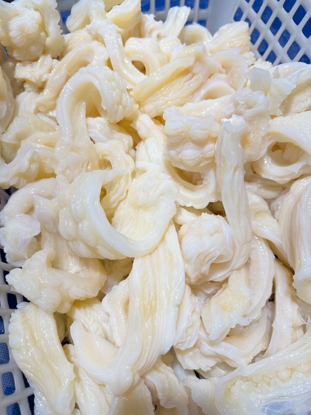 广东湛江 鲨鱼肚